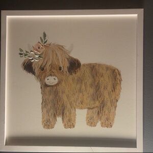 Highland cow Picture